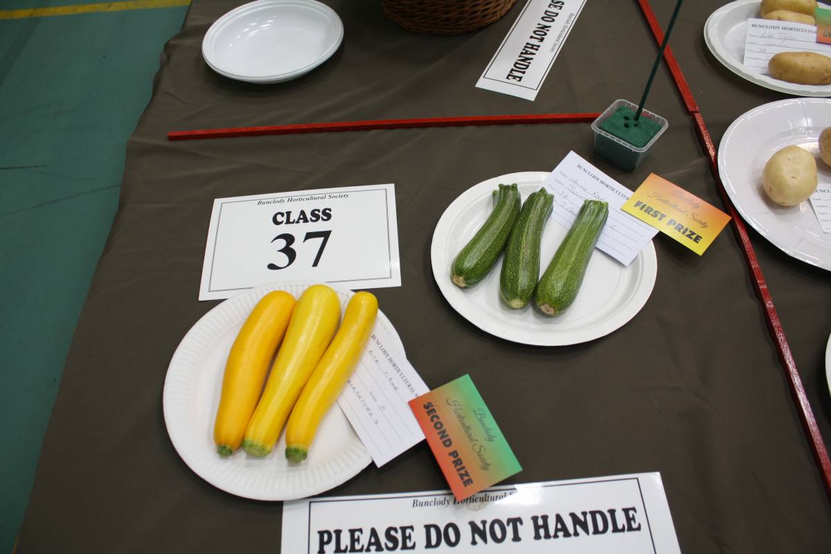 ../Images/Horticultural Show in Bunclody 2014--39.jpg